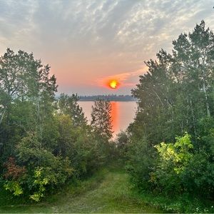 Meet your Posher, Jesse